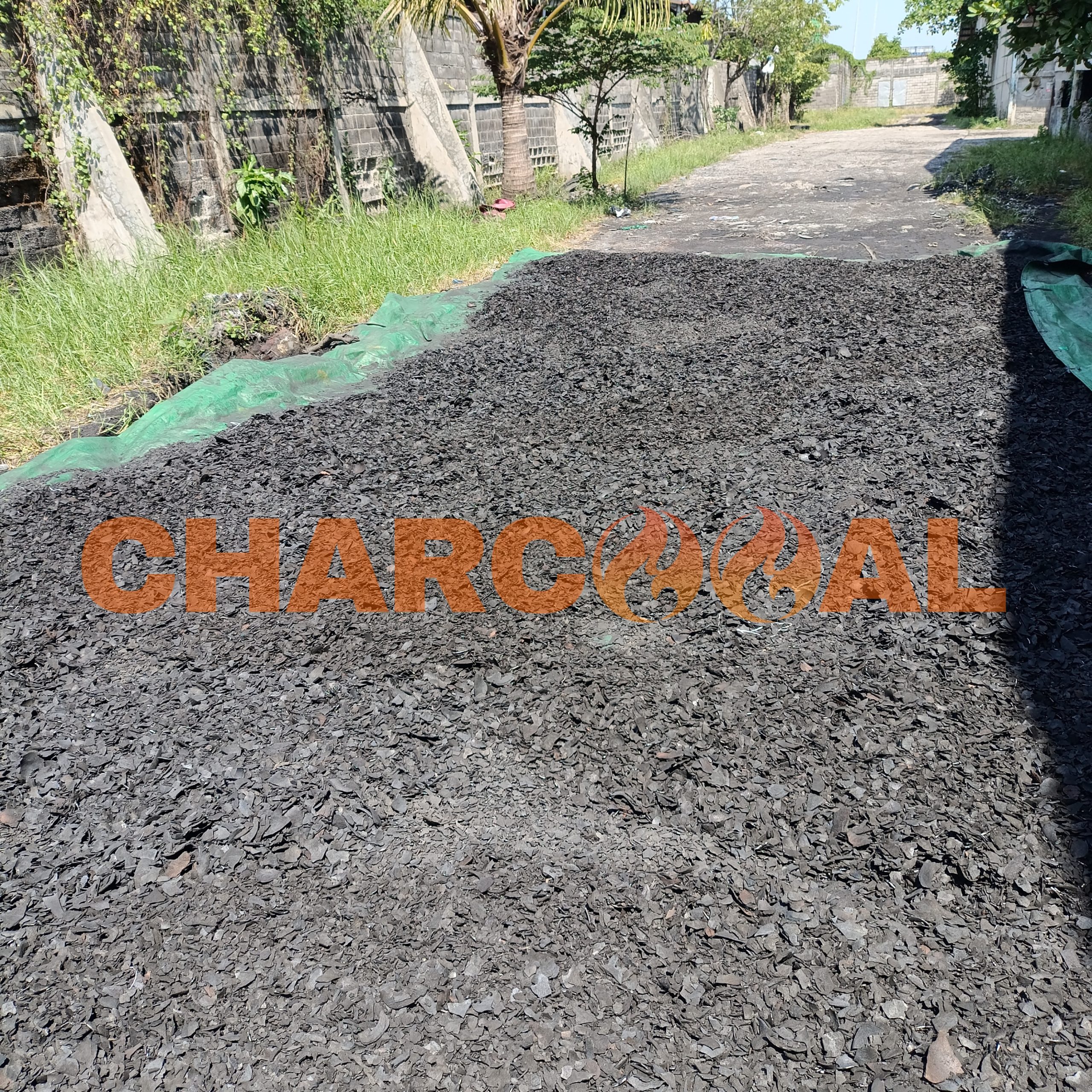 Manufacturer coconut shell charcoal